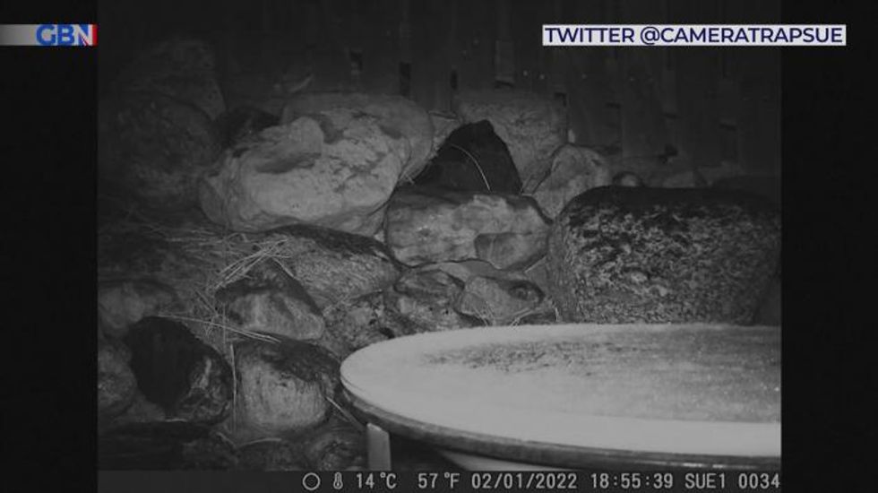 Massive winter storm wallops central U.S. with heavy snow