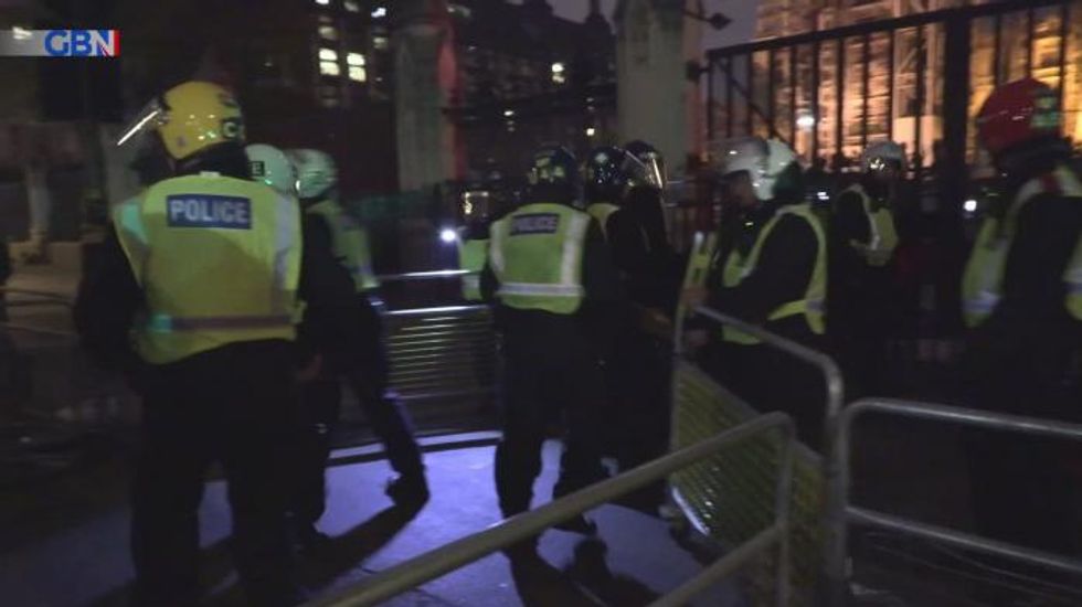 Twelve arrests and eight police officers injured during protests on Bonfire Night