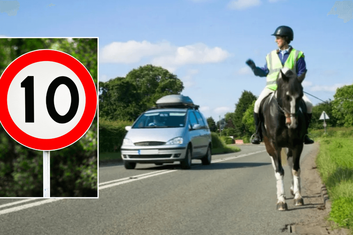 10mph sign and horse on road