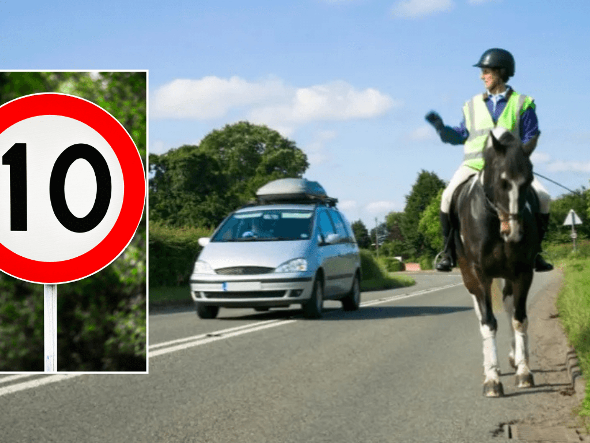 10mph sign and horse on road