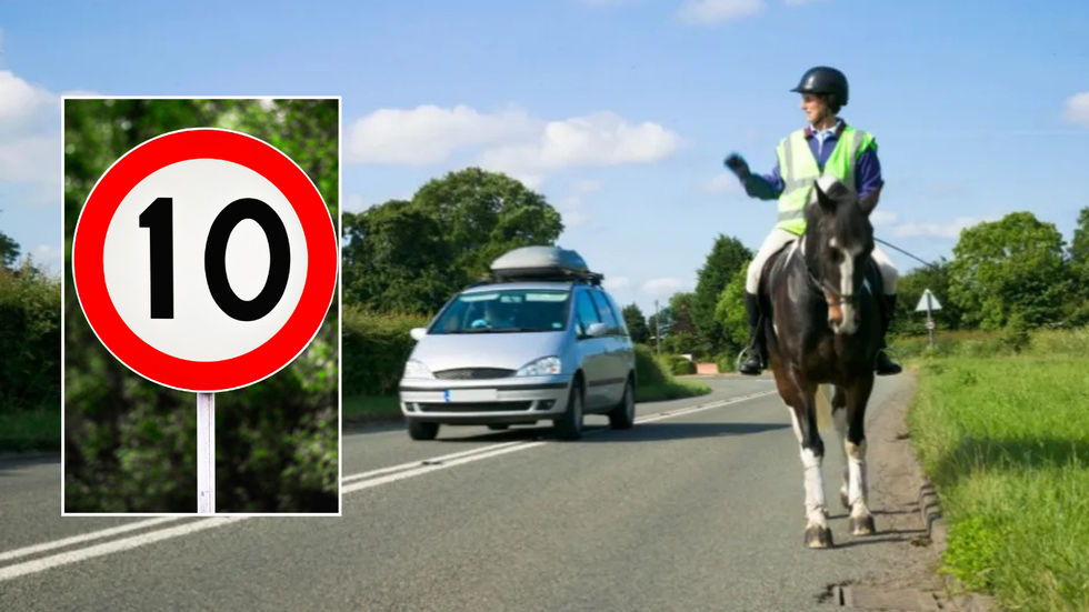 10mph sign and horse on road