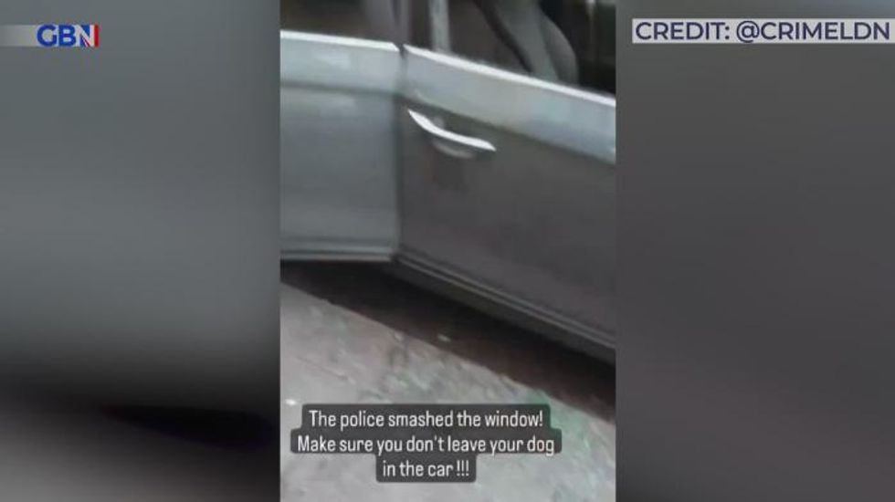 Police smash into car to save dog from excruciating London heat
