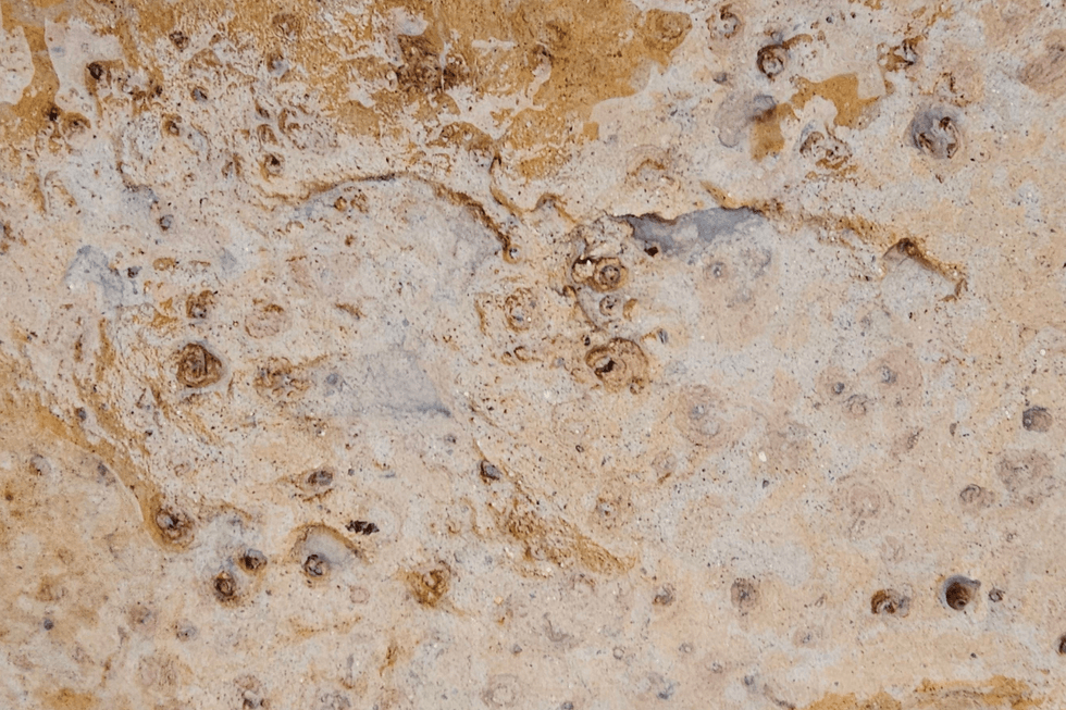 2,000-year-old footprints in Scotland