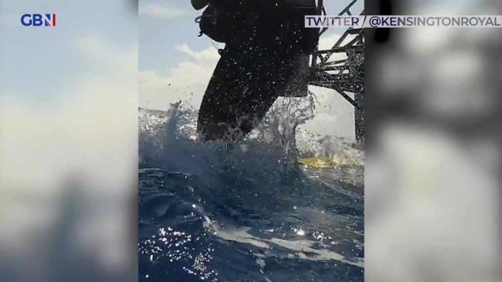 Kate Middleton and Prince William go diving with sharks on royal tour – VIDEO