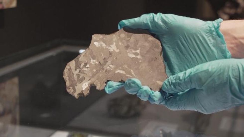 Dilapidated dog house struck by meteorite sells for more than £30,000 at auction