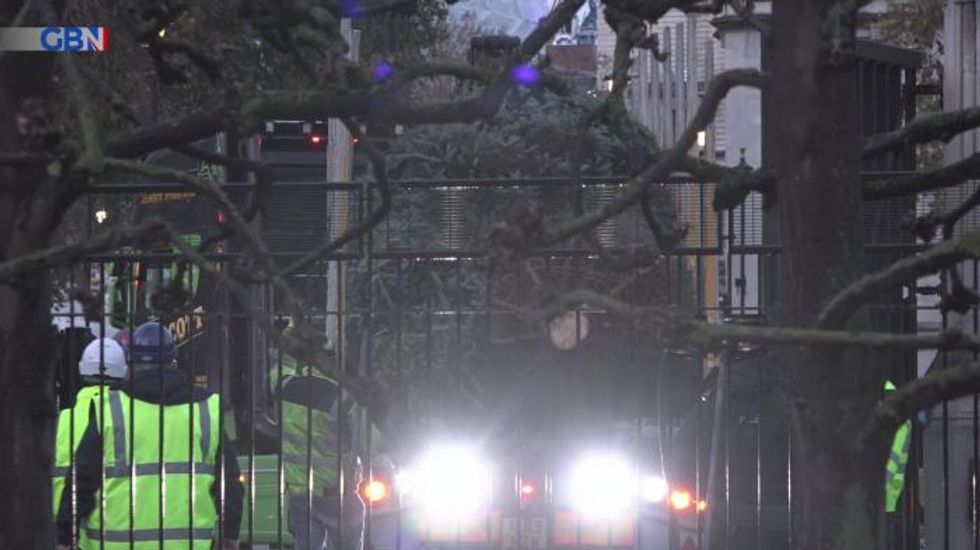 Erection of 42ft Christmas tree outside Houses of Parliament