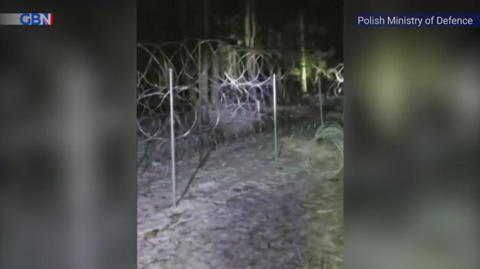 Poland-Belarus migrant crisis: 80 migrants attempt to cross the border