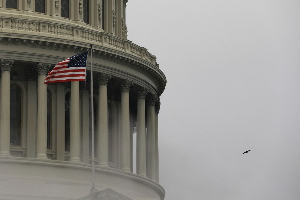 A bird flies by the United States Capitol building in Washington