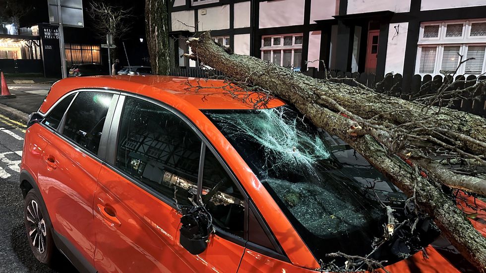 A car with a tree branch and broken windscreen