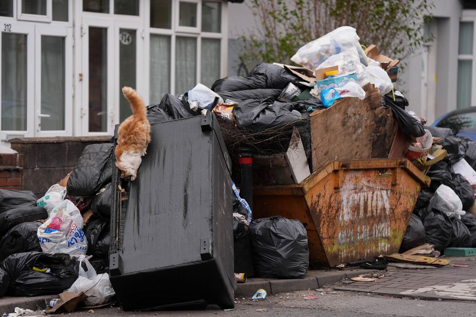 Birmingham Rat Infestation: Health Warning Issued