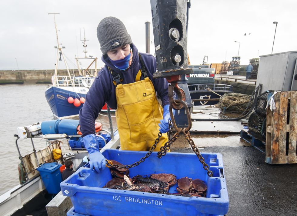A catch is unloaded at the fishing port at Bridlington Harbour in Yorkshire. French fishermen are preparing to blockade the Channel Tunnel over post-Brexit fishing rules.