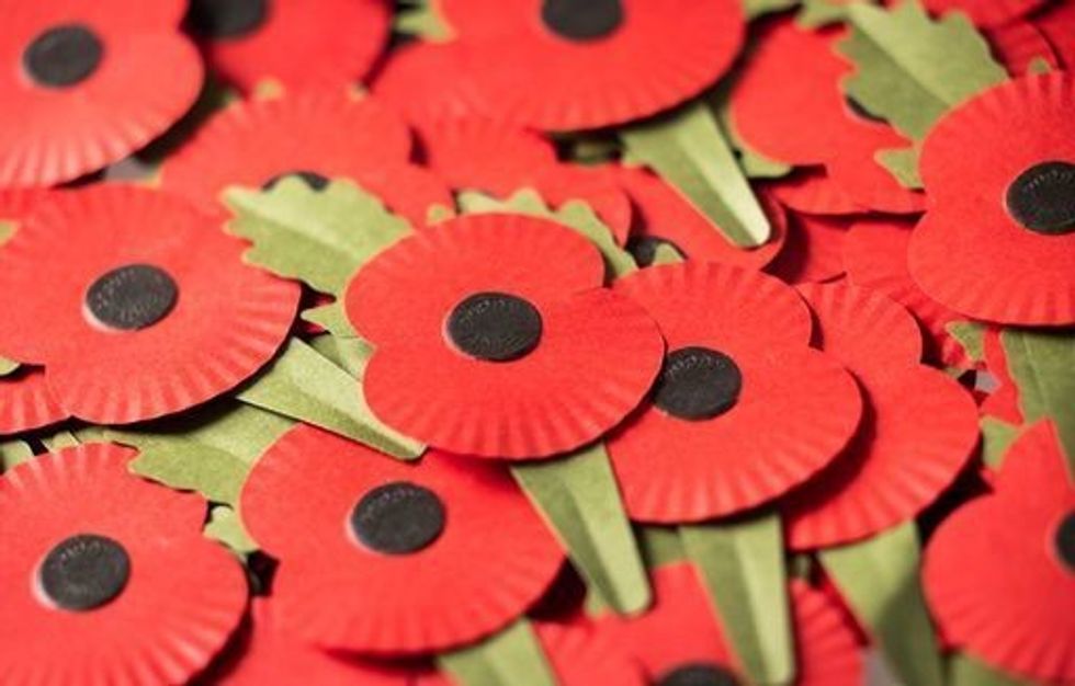 A collection of poppies
