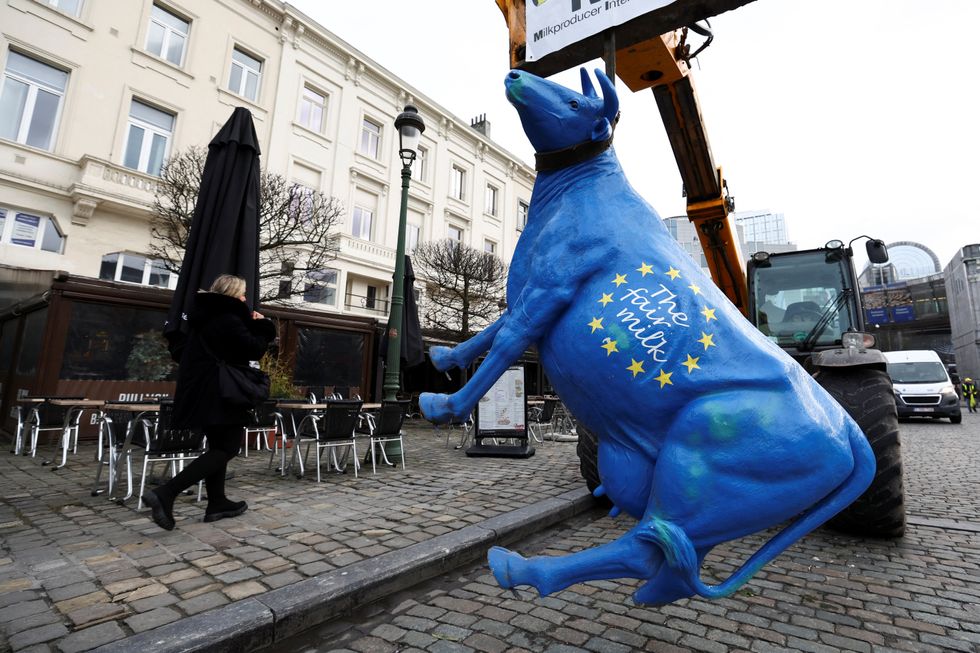 A cow figure hangs from a vehicle, as French farmers stage a protest near the European Parliament in Brussels