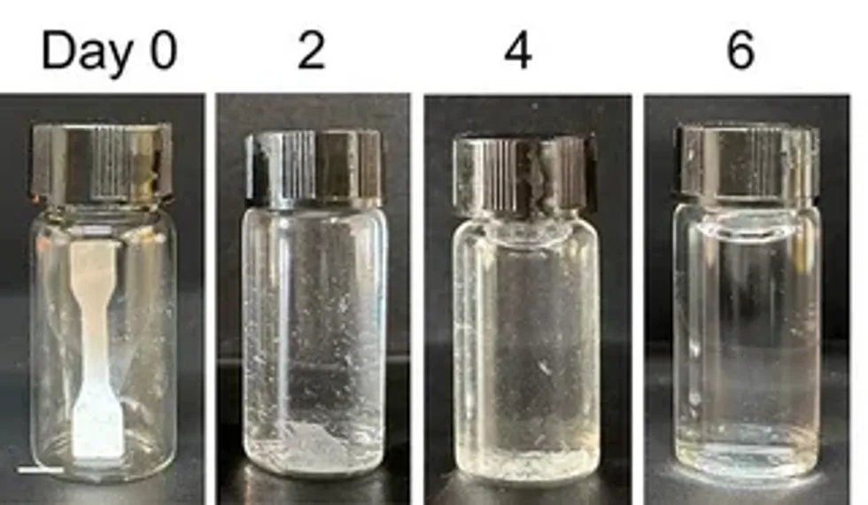 A demonstration showing the breakdown of plastics after six days