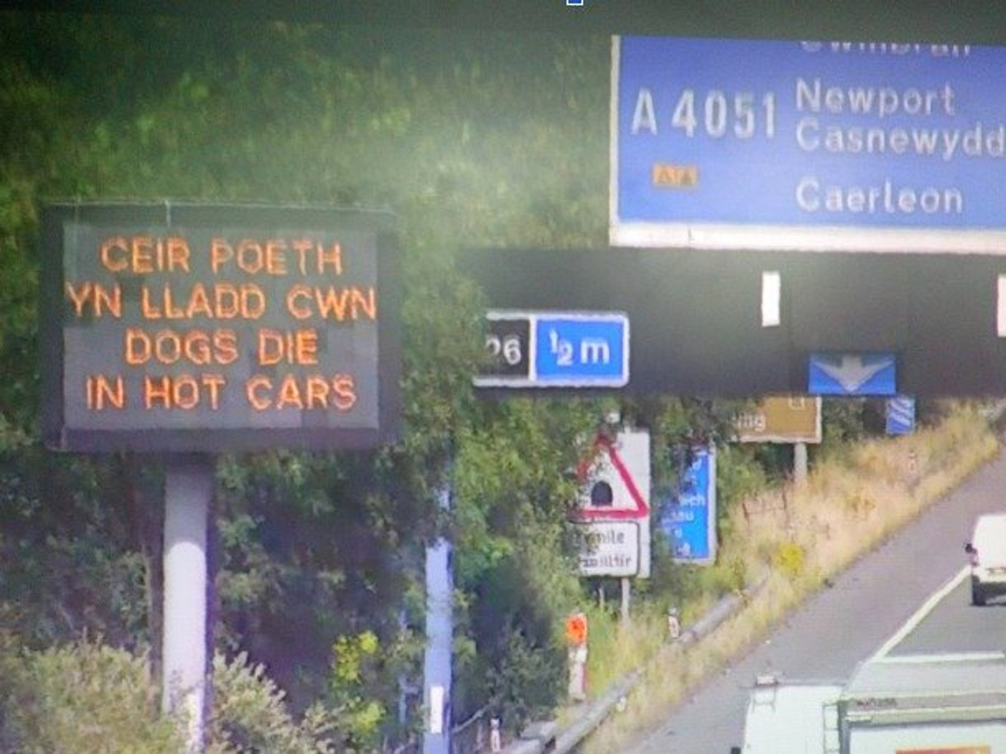 A 'dogs die in hot cars' roadside sign
