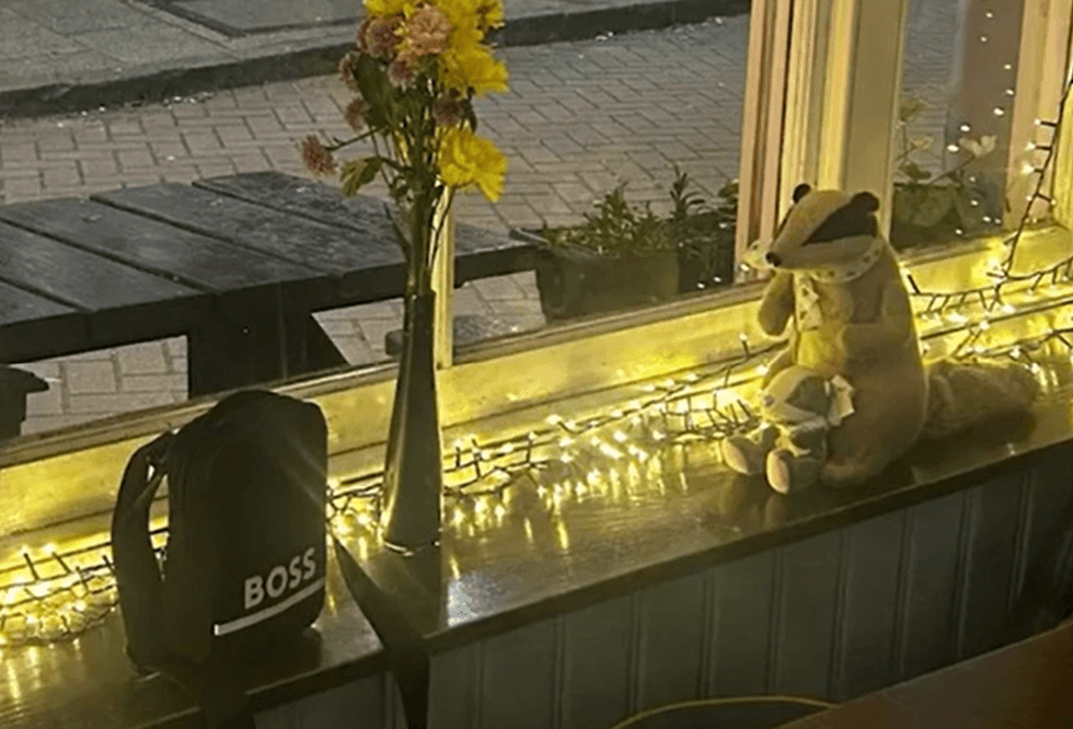 A Dorset pub has issued an urgent plea on GB News after a drunken thief nicked a locally loved stuffed toy from the British boozer.