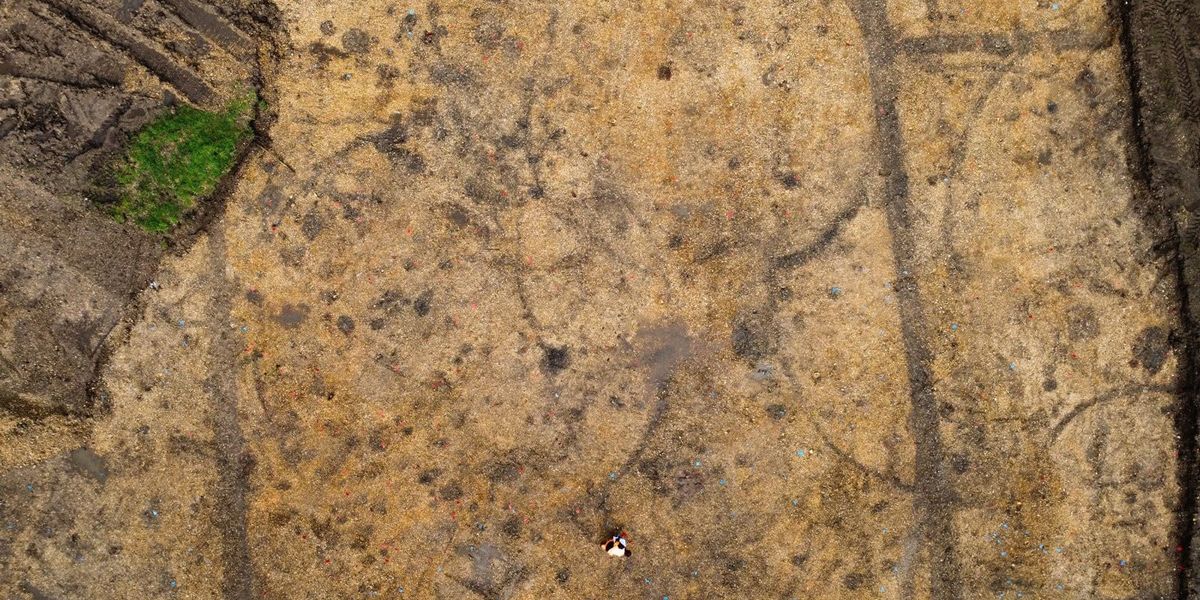 NextImg:Staggering photos show ancient Roman 'roundhouses' beneath British soil