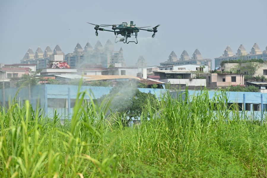 A drone sprays insecticide on plants in China amid the chikungunya virus outbreak