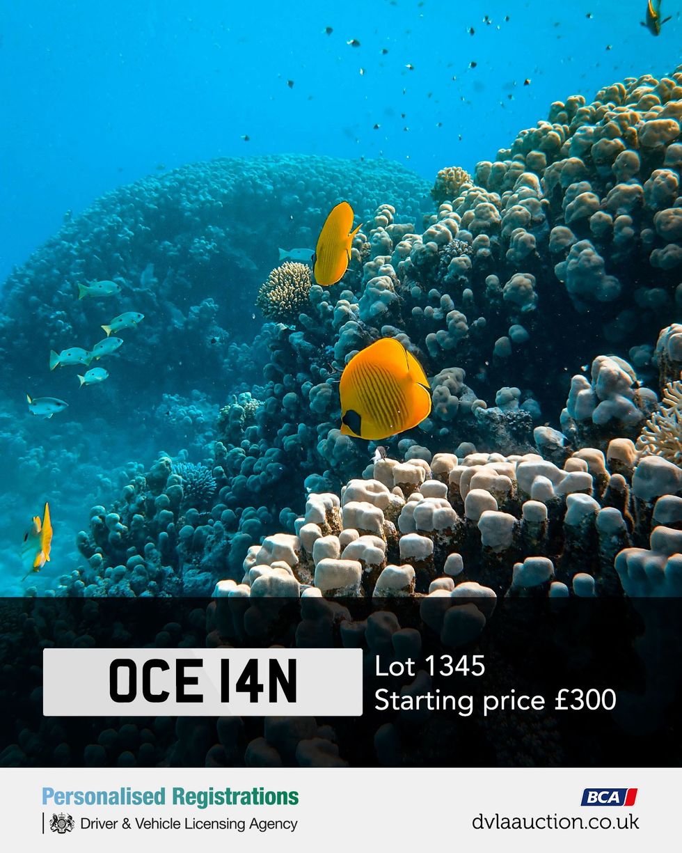 A DVLA personalised number plate