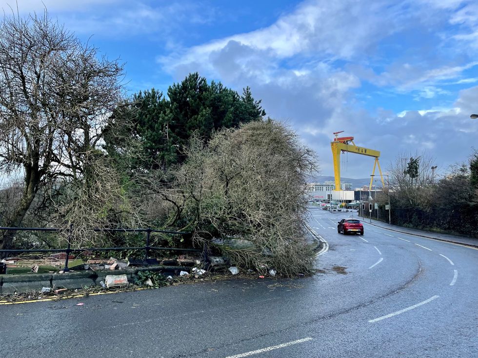 A fallen tree and collapsed wall partially obstruct Dee Street in east Belfast after Storm Isha