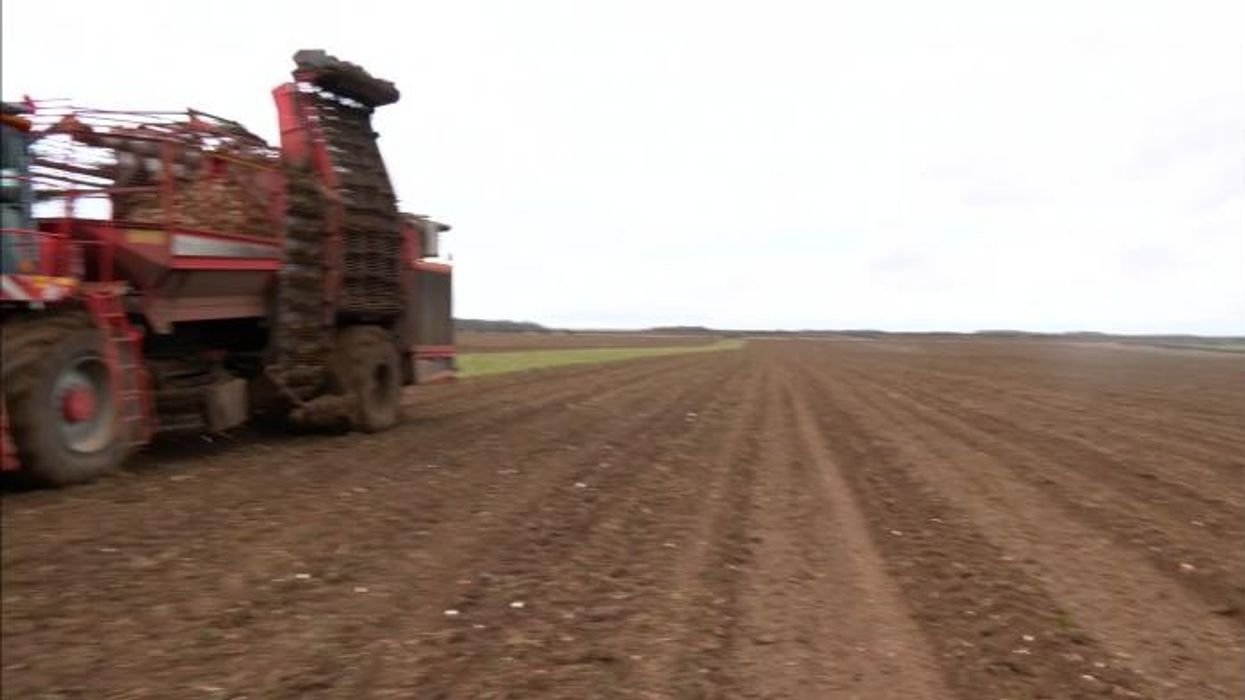 Farmer warns Labour that protests will 'change direction' over inheritance tax: 'We're not French!'