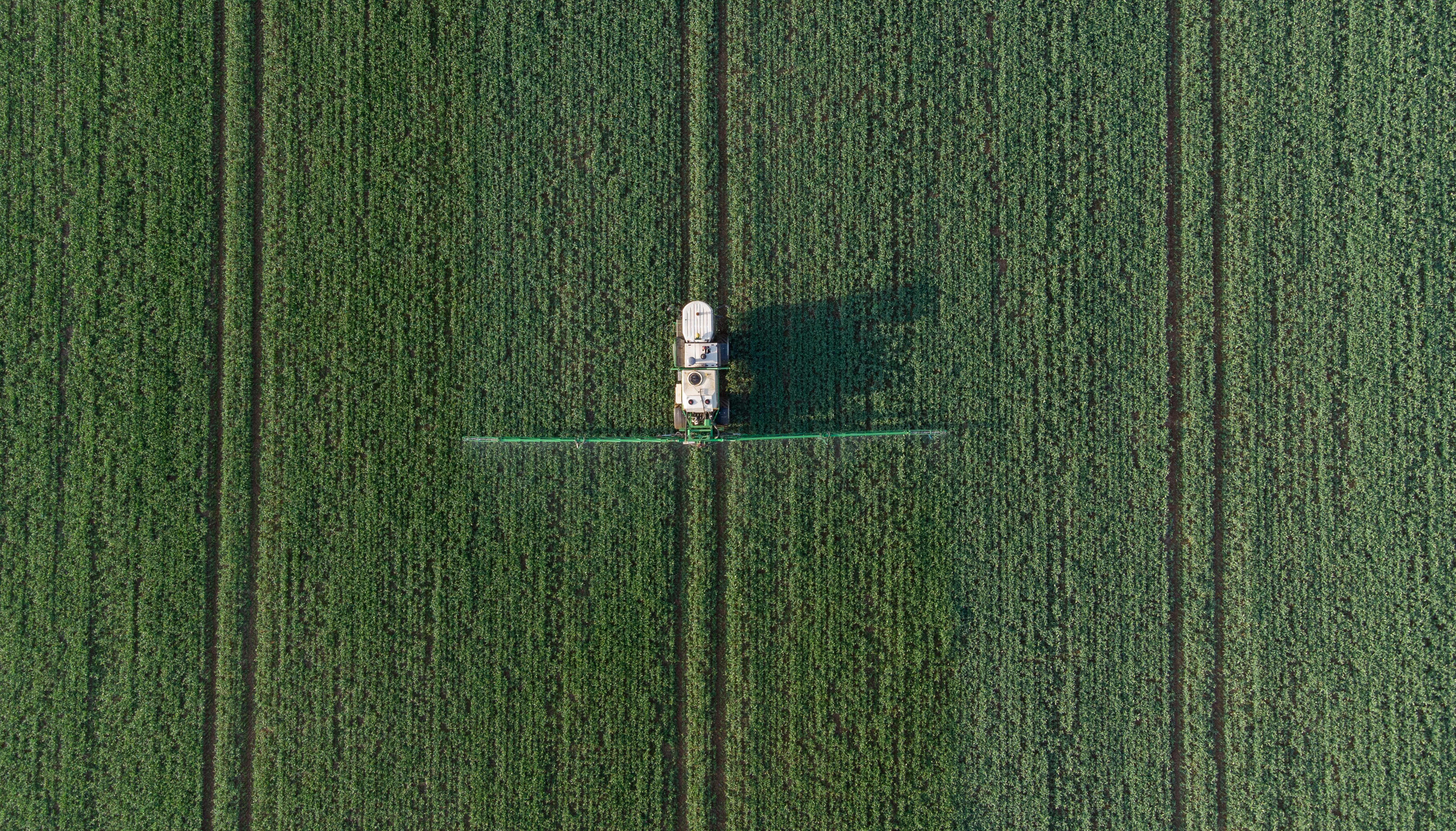 A field of crops is sprayed near Tixover in Rutland.