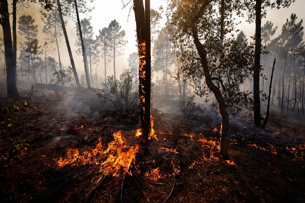 A fire that broke out in Vidauban is seen, in the Var region of southern France.