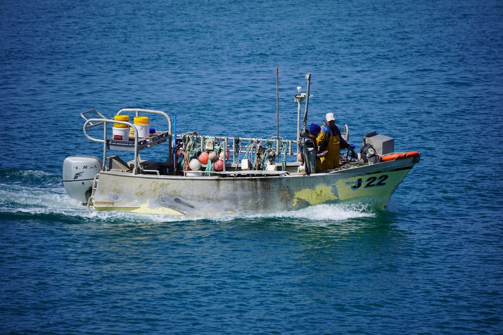 A fishing boat in the harbour at St Helier, on the Channel Island of Jersey.