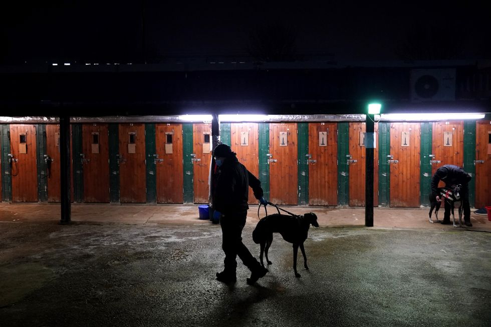 A general view of a dog and their handler at Perry Barr Greyhound Stadium.