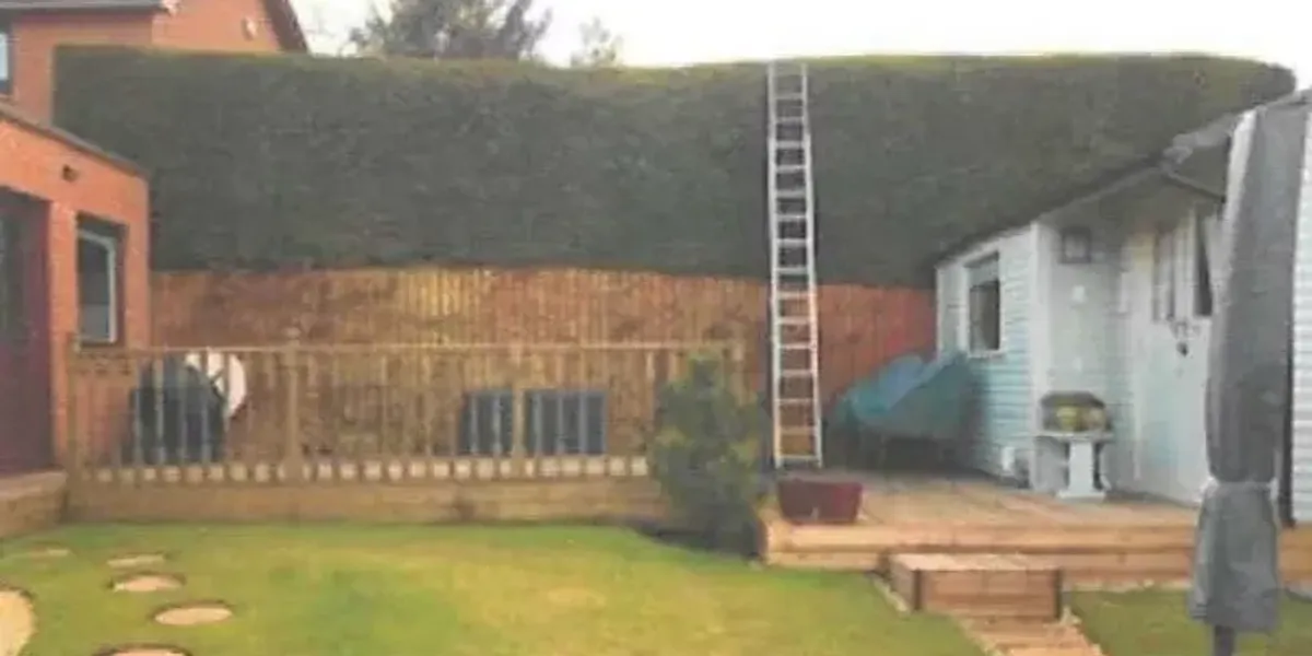 NextImg:Furious residents take matters into their own hands as they chop down hedge and 'dump branches outside neighbour's house' in heated row