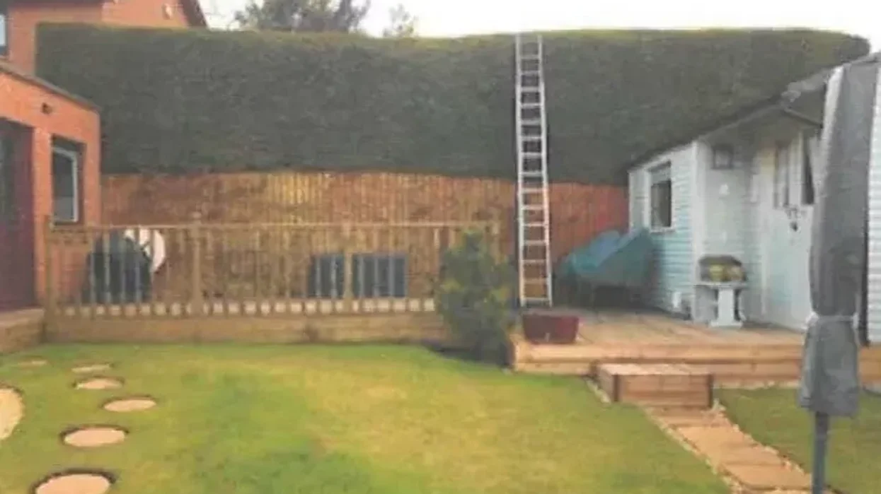 A hedge deemed to high