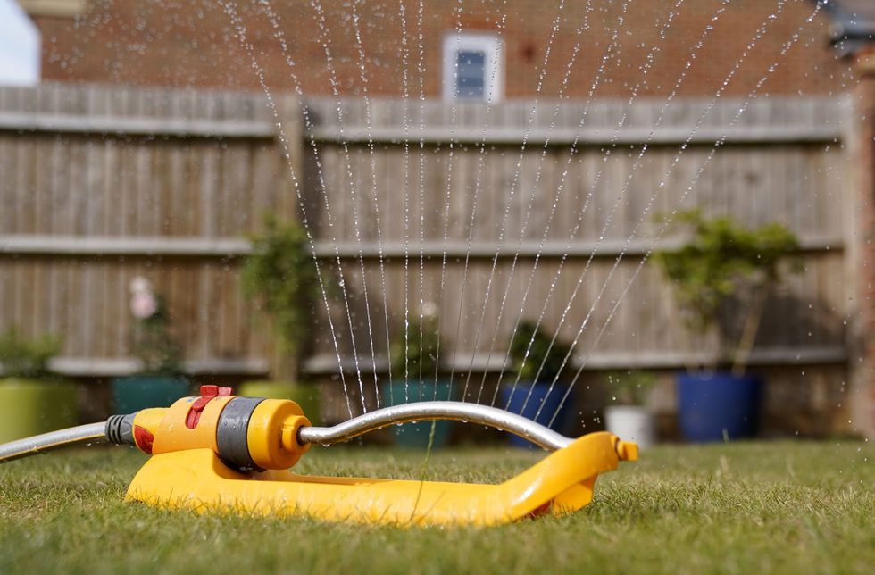 A hosepipe watering the gardens