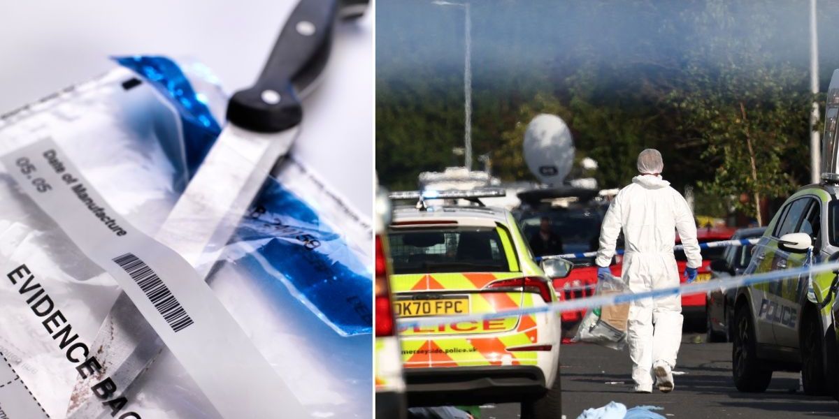 NextImg:'To fix Britain's knife crime epidemic we need to avoid senseless party political scoring and show solidarity' - Bill Rammell