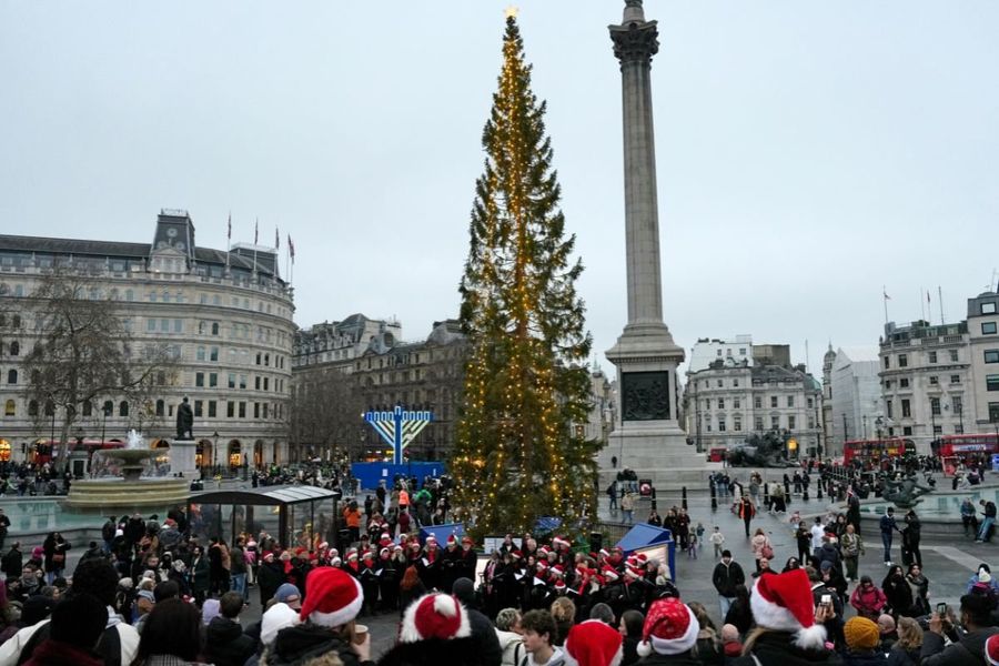 A large spruce has been supplied by Norway as part of a tradition dating back to 1947.