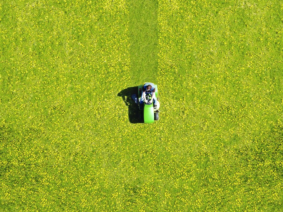 A lawn being cut