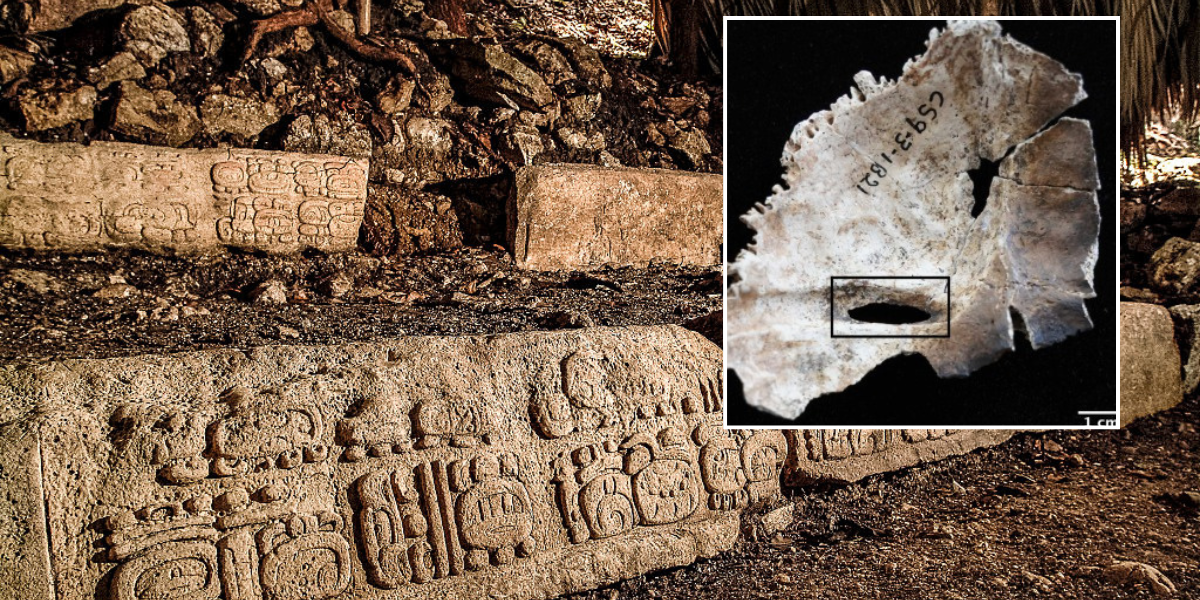 NextImg:Archaeology breakthrough as purpose of mysterious Mayan 'blood cave' revealed