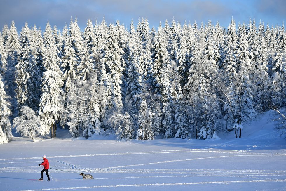 A man cross country skis.