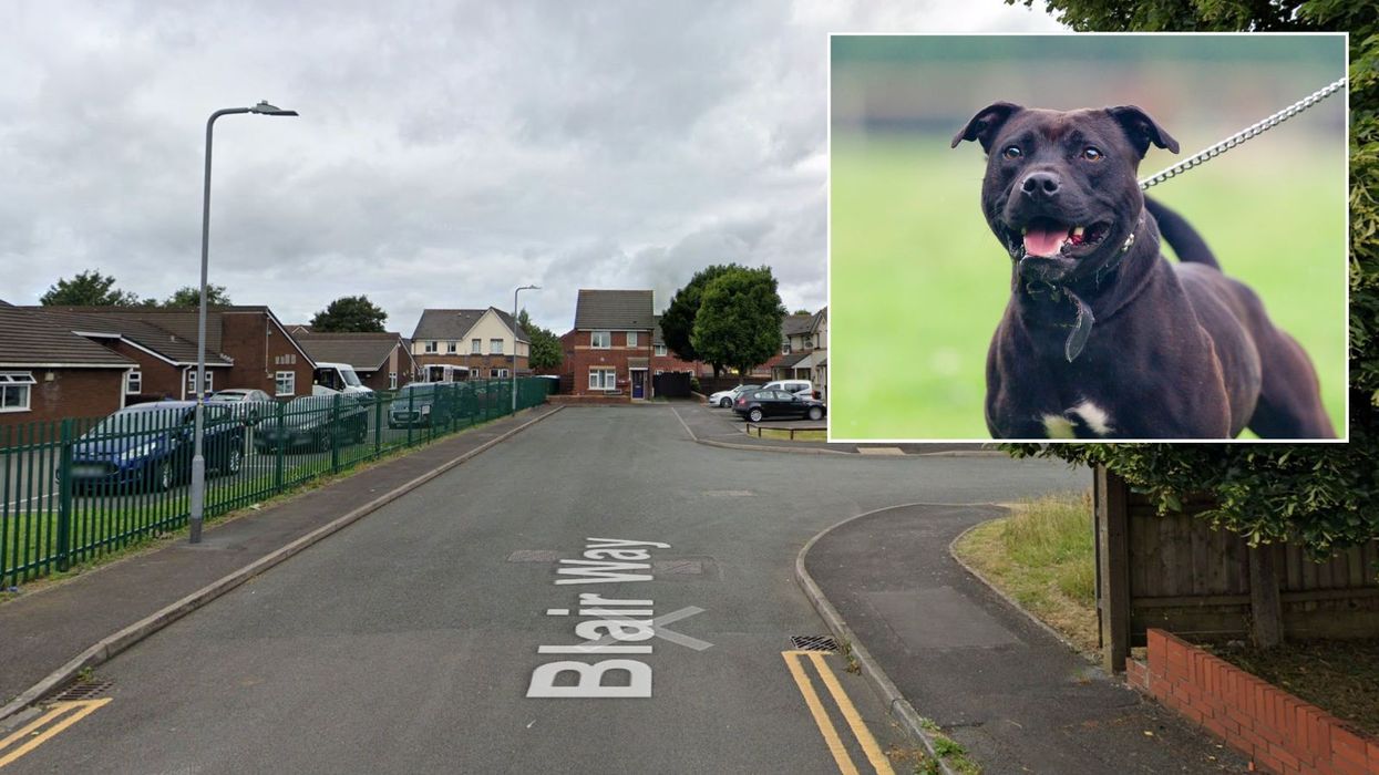 Dog attack: Man airlifted to hospital with serious injuries as armed police swarm to scene