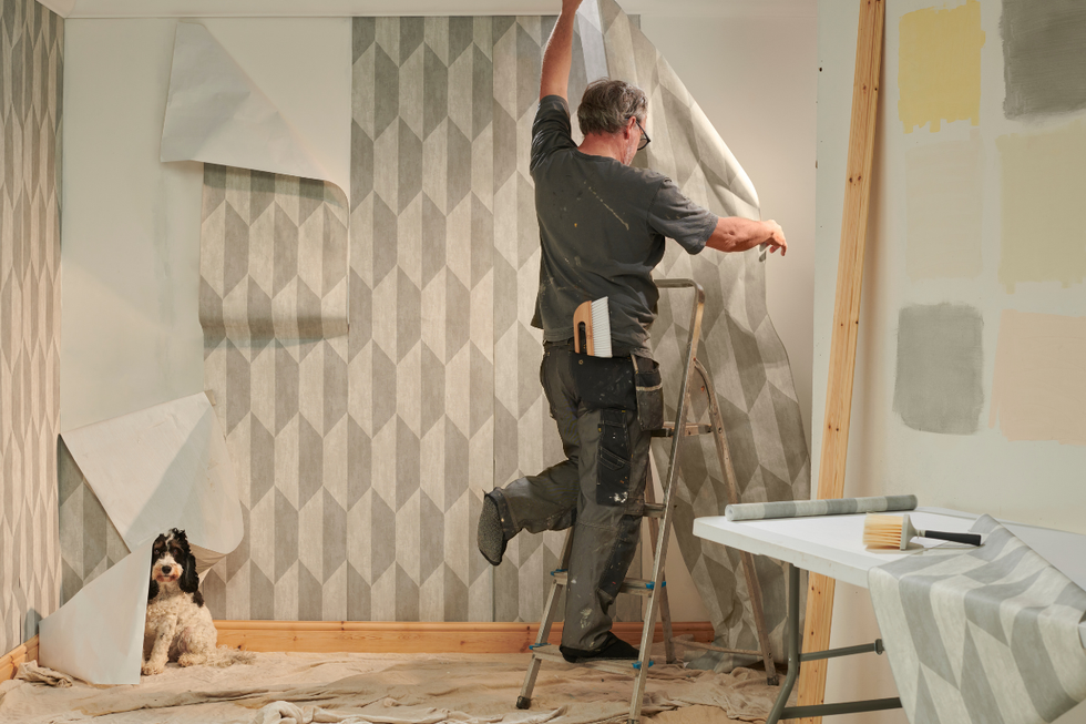 A man putting up wallpaper