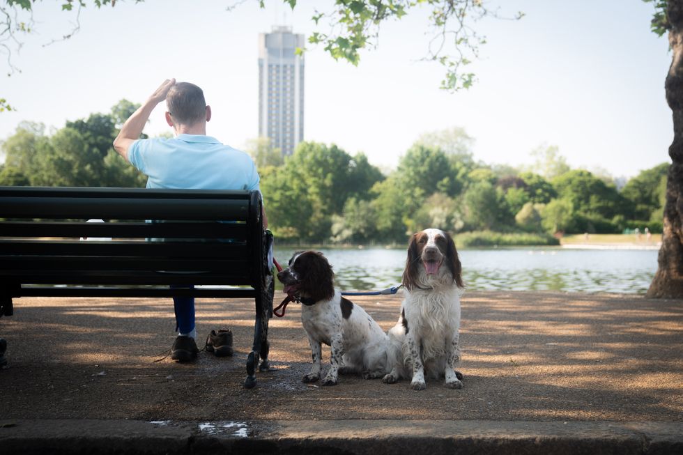 Holiday news Britain's most pet friendly staycation city revealed