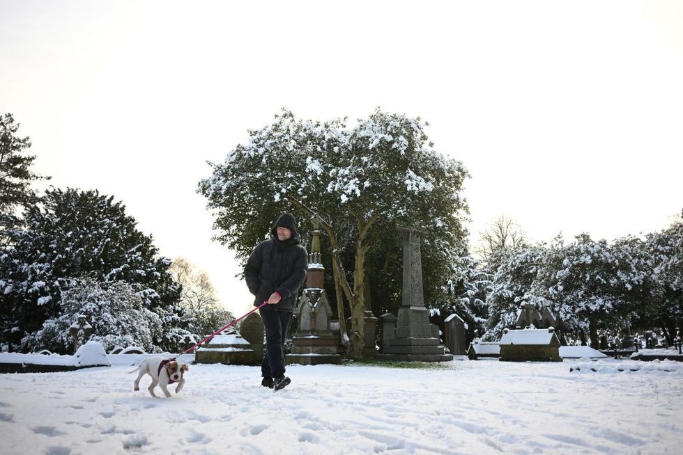 A man walks a dog at Flaybrick Hill Cemetery as snow covers Birkenhead, northwest England