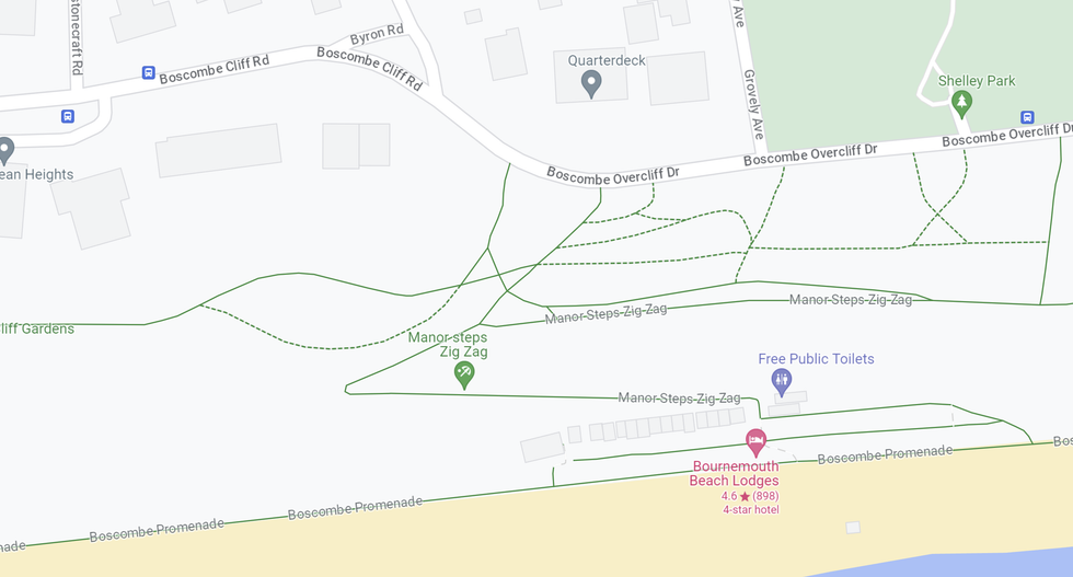 A member of the public made the discovery in undergrowth next to the Manor Steps zig-zag path at Boscombe at around 1.10pm on August 26