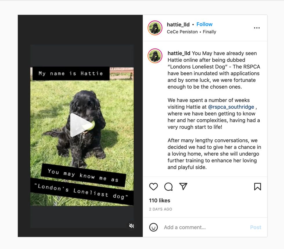 A message from Hattie's new owners posted to social media