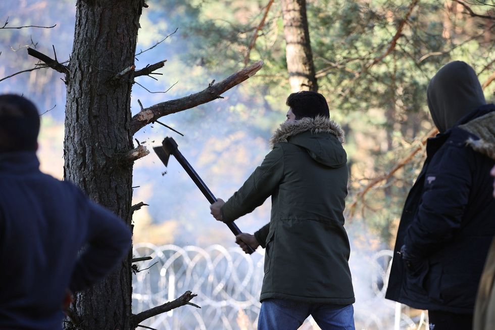 A migrant chop firewood near the Belarusian-Polish border in the Grodno region, Belarus..