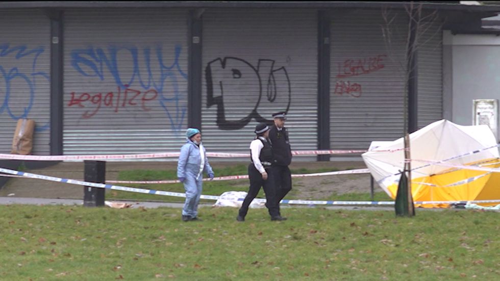 A murder investigation has been launched after a 29-year-old man died after being stabbed in the heart in south London.