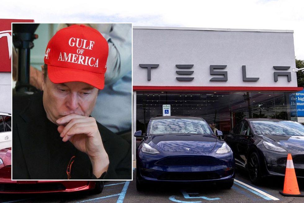A nervous Elon Musk and a Tesla dealership