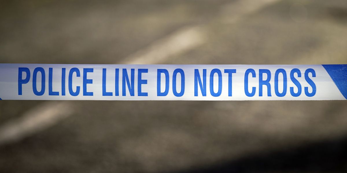 NextImg:Newborn baby found by dog walker in shopping bag after being abandoned on London street