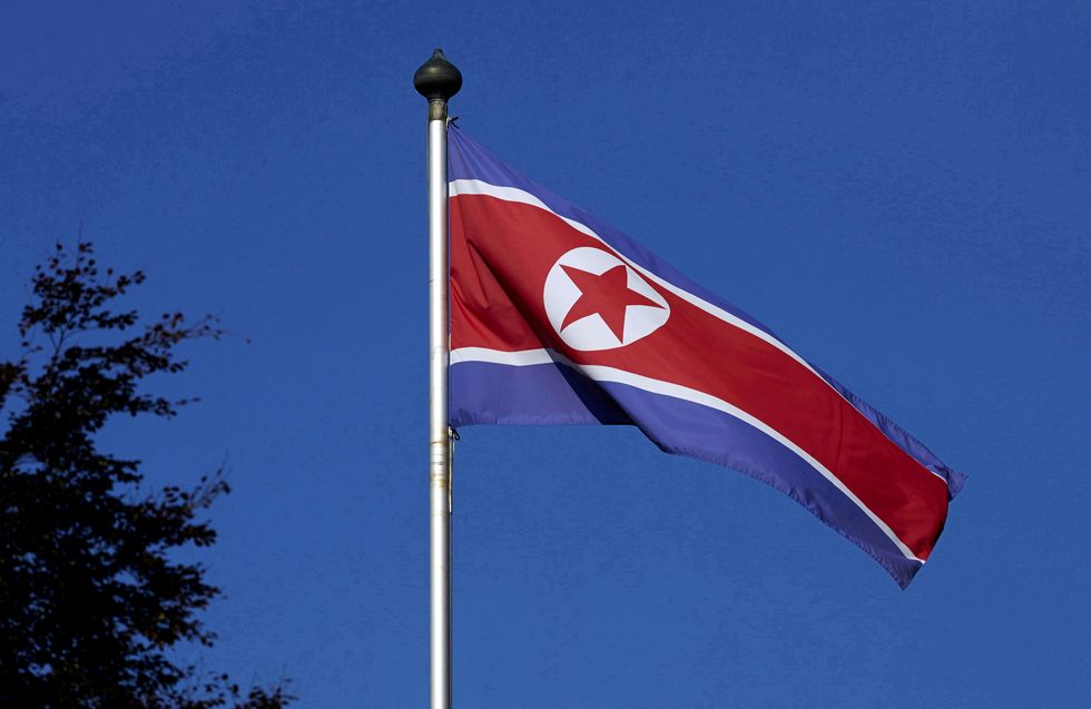 A North Korean flag flies on a mast at the Permanent Mission of North Korea in Geneva October 2, 2014. REUTERS/Denis Balibouse/File Photo