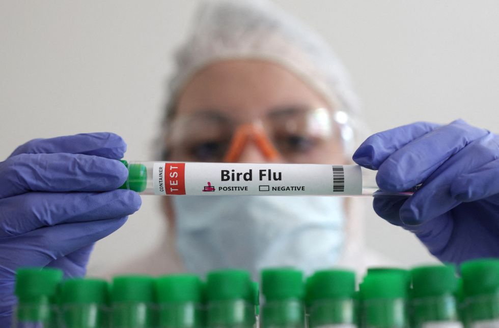 A person holds a test tube labelled "Bird Flu"