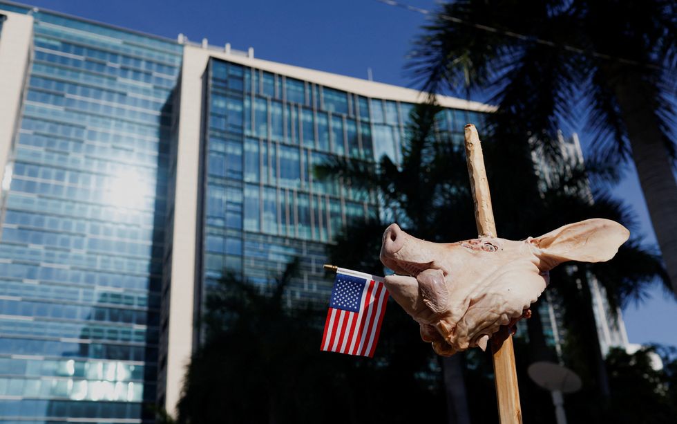 A pigs head on a pole outside the courthouse